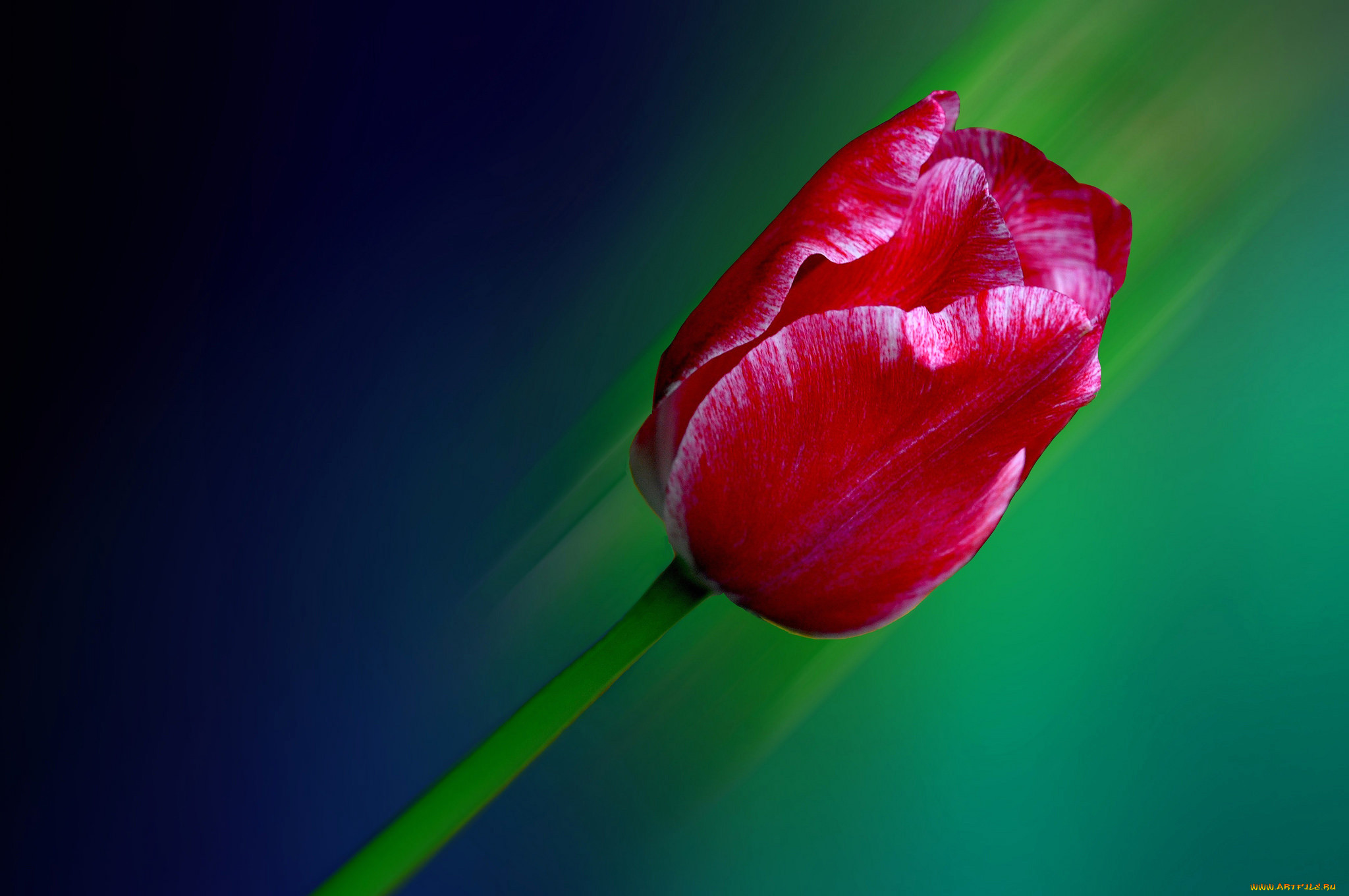 , , , , , 